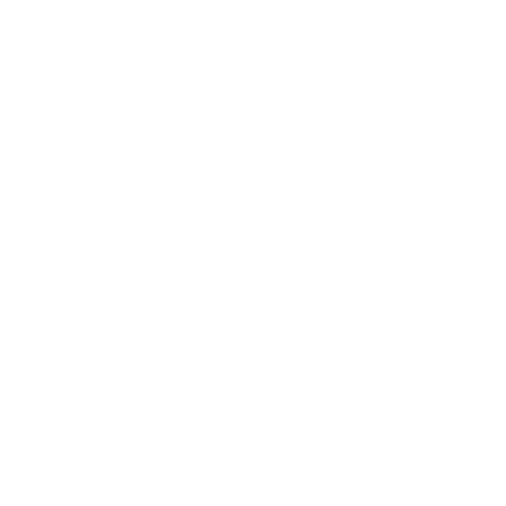 JPS